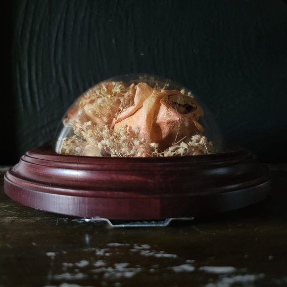 Mounted Freeze Dried Flowers, Framed Preserved Roses - Picture 4 of 6